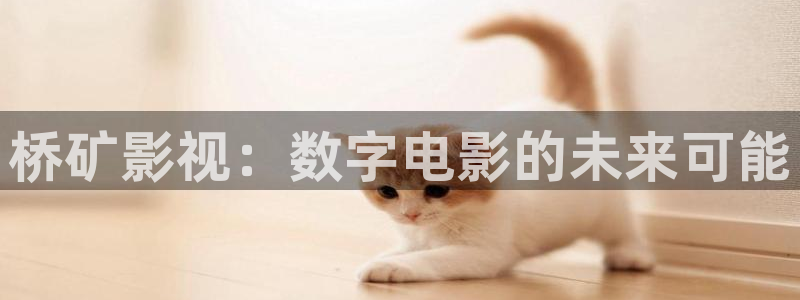 麻豆一区二区三区精品视频