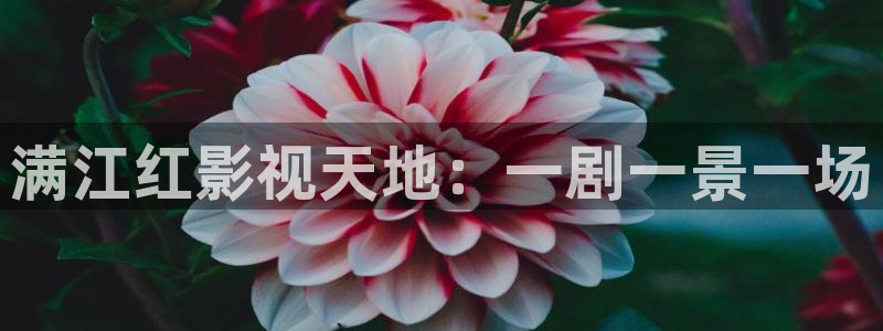 麻豆电影作品：满江红影视天地：一剧一景一场