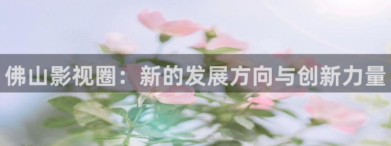 免费视频网站观看麻豆理论片：佛山影视圈：新的发展方向与创新力量