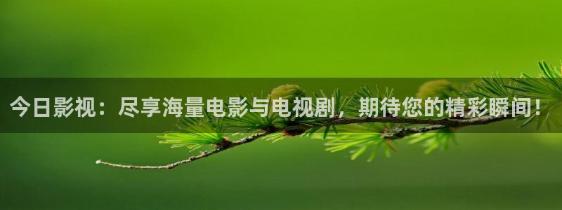 麻豆电影在线观看视频