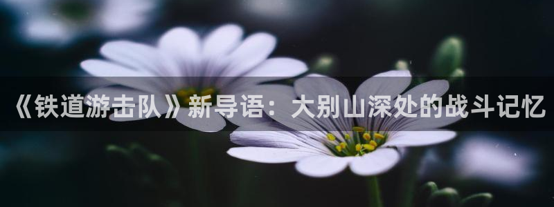 麻豆诱惑电影