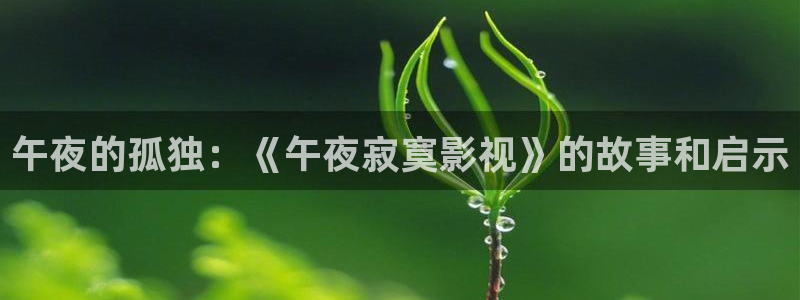 麻豆影视同事：午夜的孤独：《午夜寂寞影视》的故事和启示