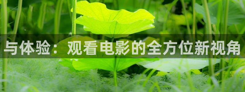 麻豆 电影